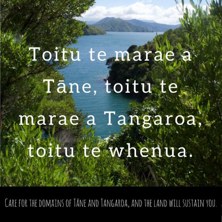 Toitu te whenua - Enviroschools Marlborough