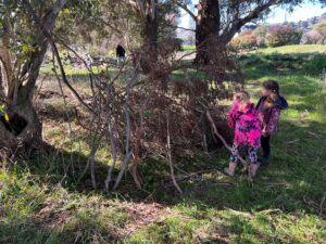 Hut building