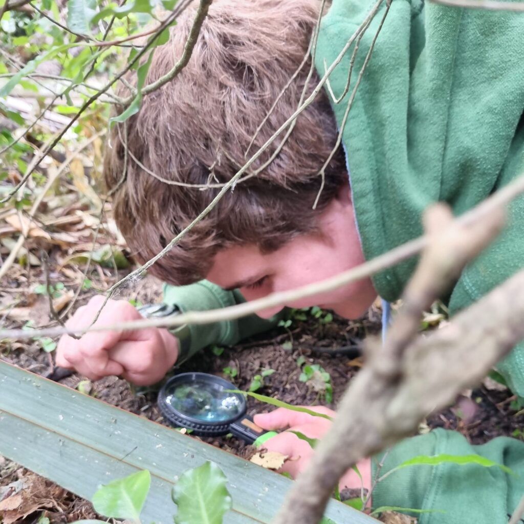 bioblitz close inspection