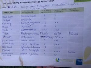 bioblitz record sheet